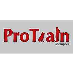 Pro Train Memphis