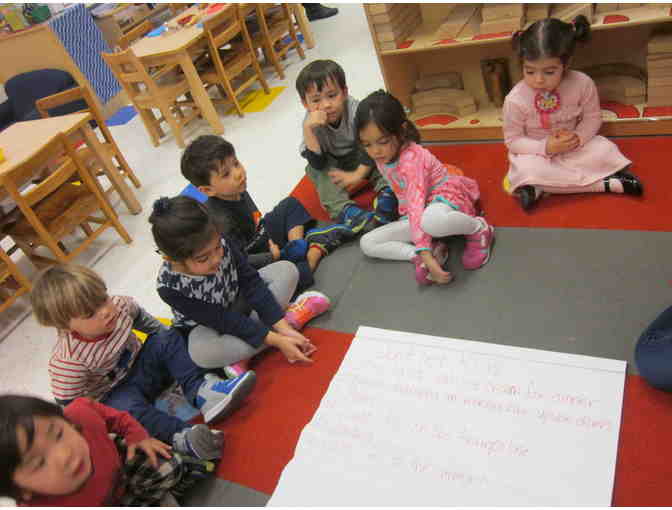 76 Green 1 AM - Mo Willems Pigeon Journal, Plush and Photo Collage