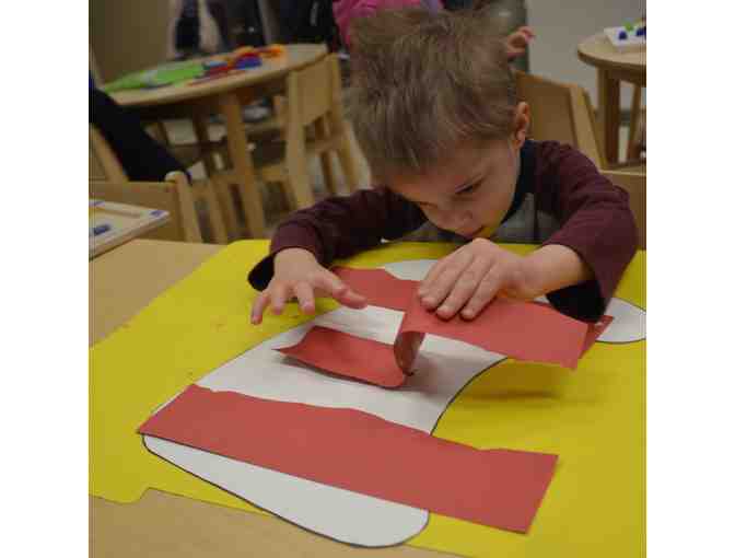 45 Green 1 AM - Cat in the Hat Class Journal, Plush and Artwork