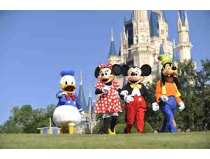 Trip to Disney World!