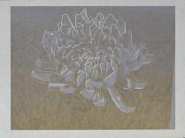 Andy Warhol - Kiku, 1983