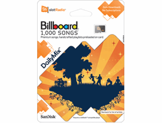 SanDisk 4 GB MP3 Player Plus 5000 Songs - #1