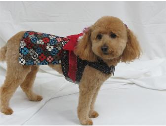 Red and Black Doggy Dress