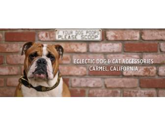 Diggidy Dog- A Dog & Cat Boutique