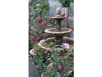 $40 Gift Certificate to Bokay Nursery