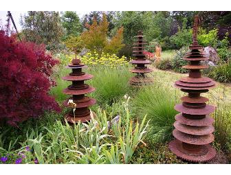 $25 Gift Certificate at the Sierra Azul Nursery