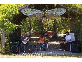 $25 Gift Certificate at the Sierra Azul Nursery