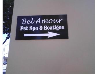 Dog Gift Basket with Gift Certificate