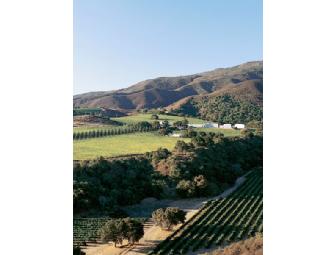 6 Bottles of Amazing Hahn Wines