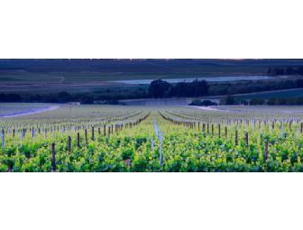 Wines from Pessagno Winery