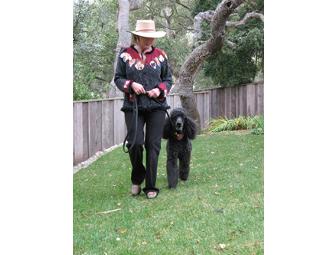 $200 Off For Dog Training Valued at $550