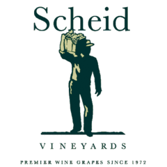 Scheid Vineyard