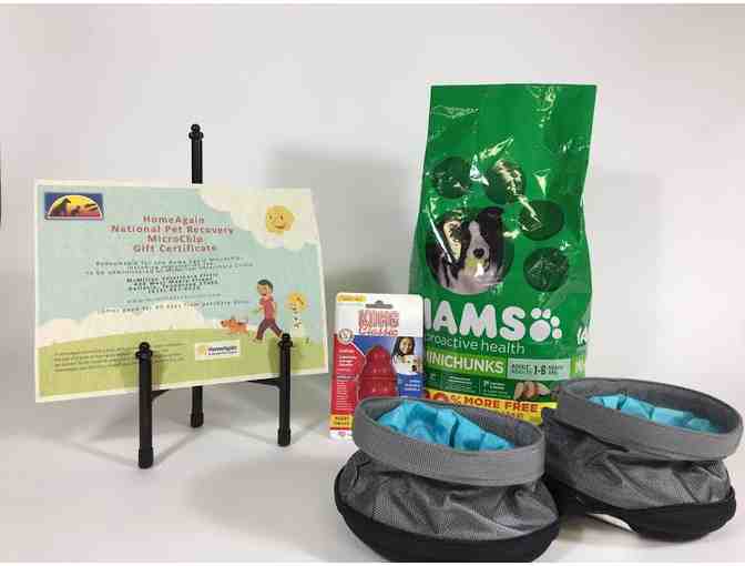Calling All Dogs! -- Microchip Certificate w/ other Goodies - Photo 1
