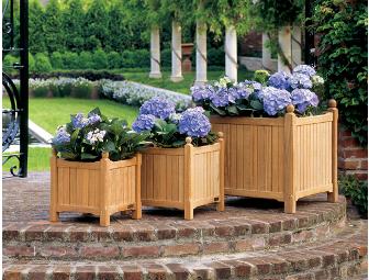 19' English Planter from Oxford Gardens