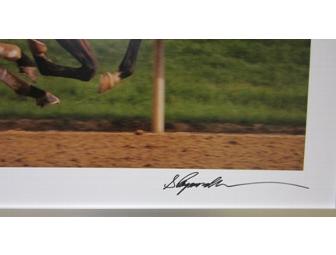 Barbaro Photograph Signed by Ray Schuhmann, the Official Photographer of the Derby