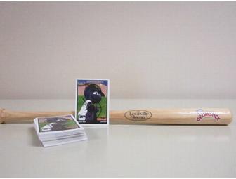 Buddy Bat Visits Your Party with 50 Signed Buddy Bat Baseball Cards and a Bat