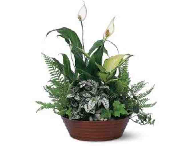 Nanz & Kraft $50 Gift Card