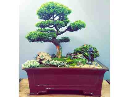 Spring Garden Bonsai Installation from Deep Forest Gallery