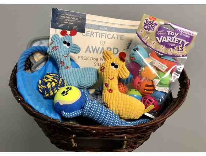 Lovely Paws Pet Care Basket & Dog Walk