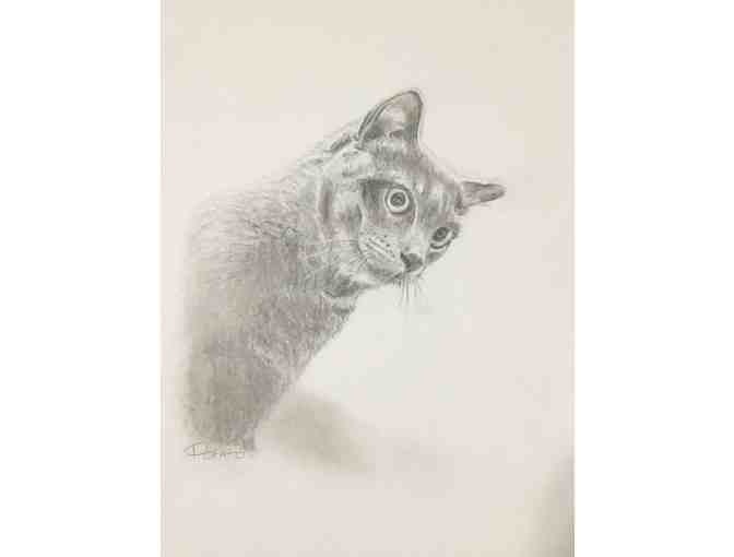 Personalized Pet Portrait