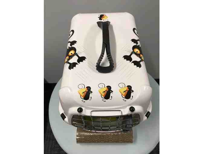 Meow-lo-ween Travel Pack & a FREE Adoption Certificate