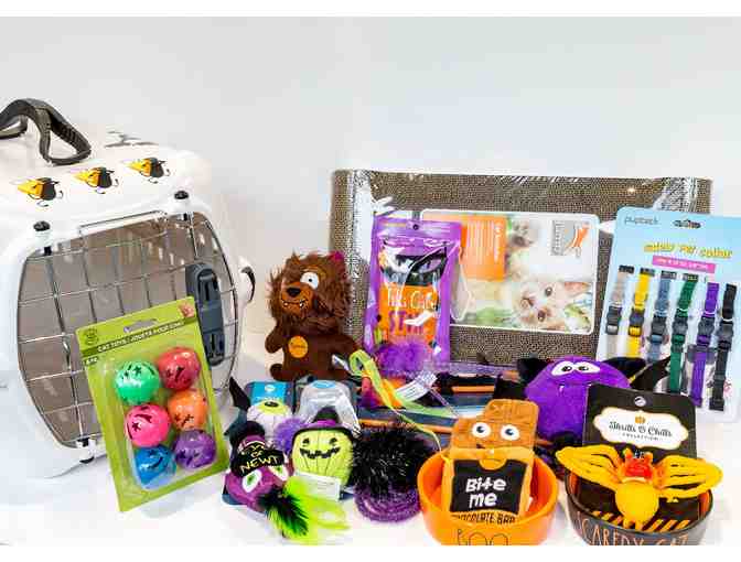 Meow-lo-ween Travel Pack & a FREE Adoption Certificate