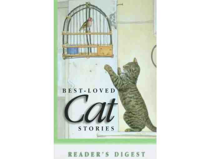 Pet Stroller and Cat Accessories