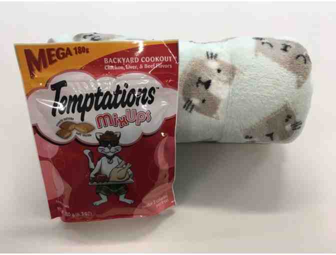 Pet Stroller and Cat Accessories