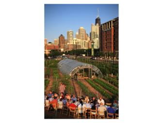 Outstanding in the Field Dinner at La Plaza Cultural Community Garden on September 1, NYC