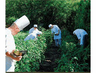 Ristorante Caf&eacute; Cortina, Farmington Hills, Michigan (Dinner for 4)