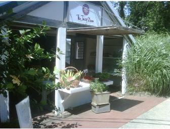 Three-Day Juicy Naam Cleanse, East Hampton, New York