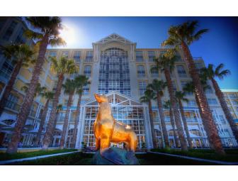 The Table Bay Hotel, Cape Town, South Africa, and the Palace of the Lost City, Sun City, S