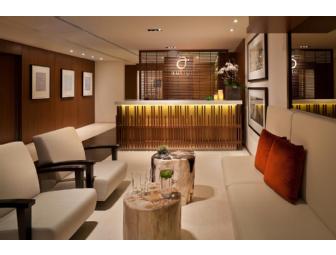 The Setai Fifth Avenue, NYC