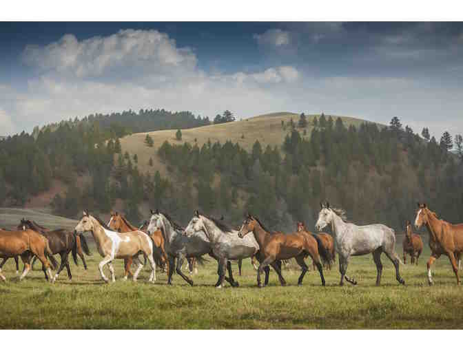 Big Sky Luxury at the Ranch at Rock Creek, Montana