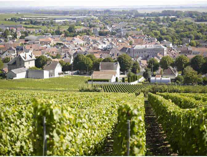 Glamorous Insider's Tour of Champagne with Champagne Barons de Rothschild