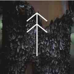 Hogstone and ?lder restaurants