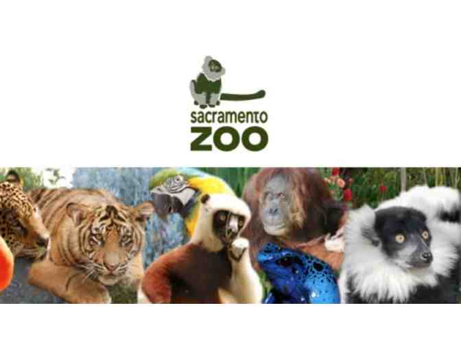 Sacramento Zoo - Pass for Four!