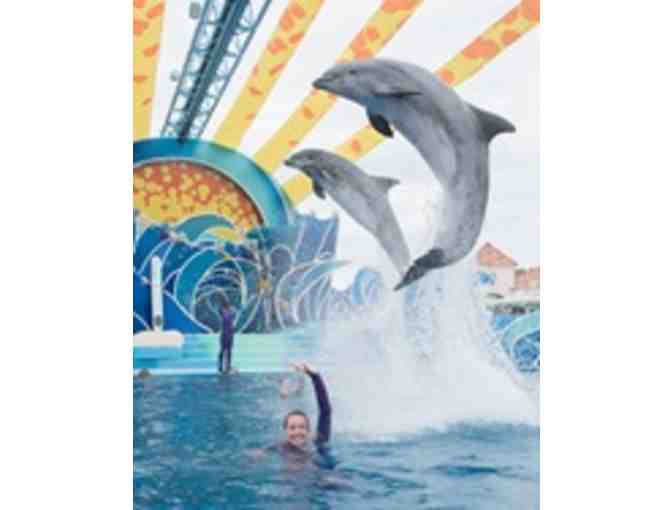 Sea World One-Day Admission Tickets for Four!