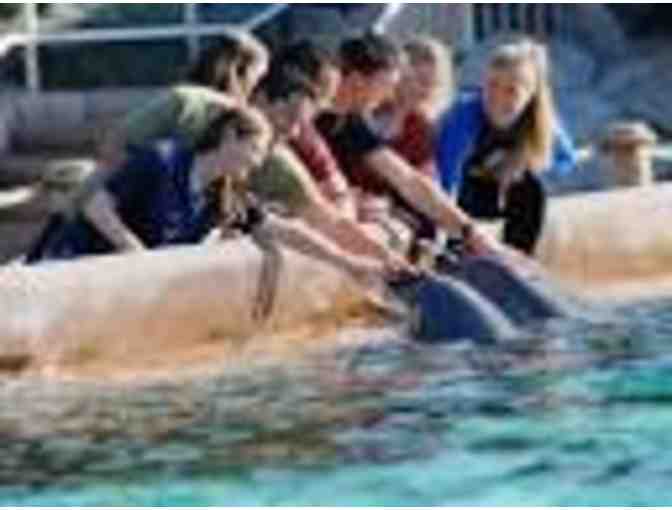 Sea World One-Day Admission Tickets for Four!