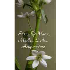 Stacy DeMarco Acupuncture
