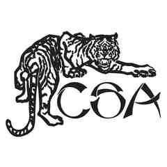 CSA Martial Arts & Wellness School