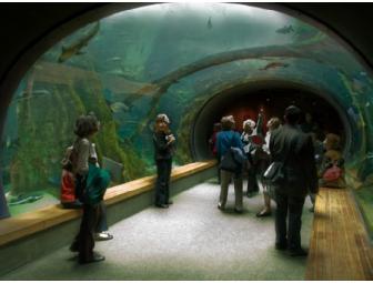 Four general admission tickets to the California Academy of Sciences