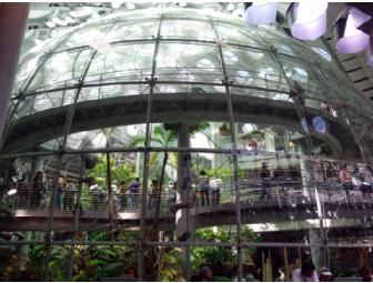 Four general admission tickets to the California Academy of Sciences
