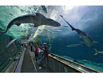 Two general admission tickets to Aquarium of the Bay
