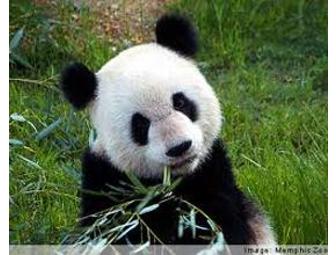 Two One-Day Passes to Happy Hollow Park & Zoo