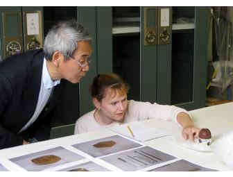 Private, Customized Tour of Asian Art Museum's Japanese Exhibitions for Four People