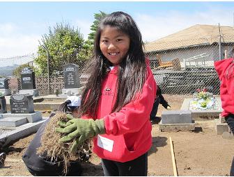 Colma Japanese Cemetery Clean Up - Help us Honor our Past!