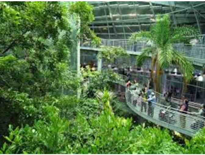California Academy of Sciences: Four (4) General Admission Tickets