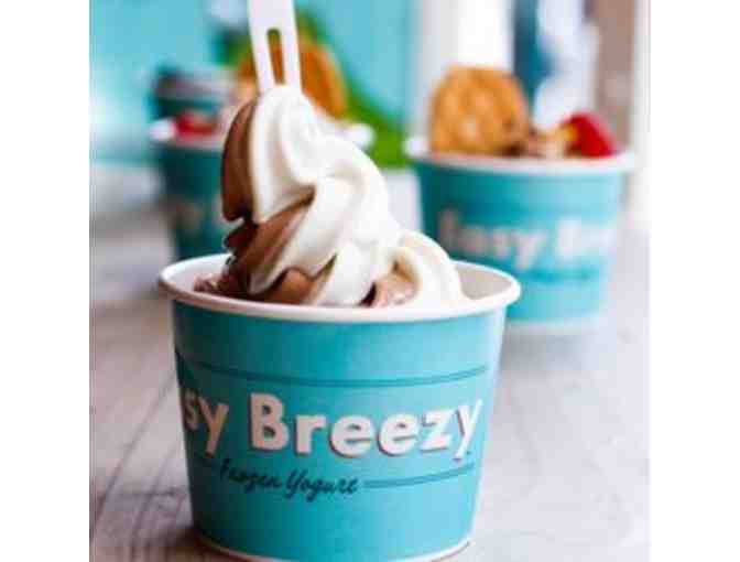 Easy Breezy Frozen Yogurt: $15 gift certificate