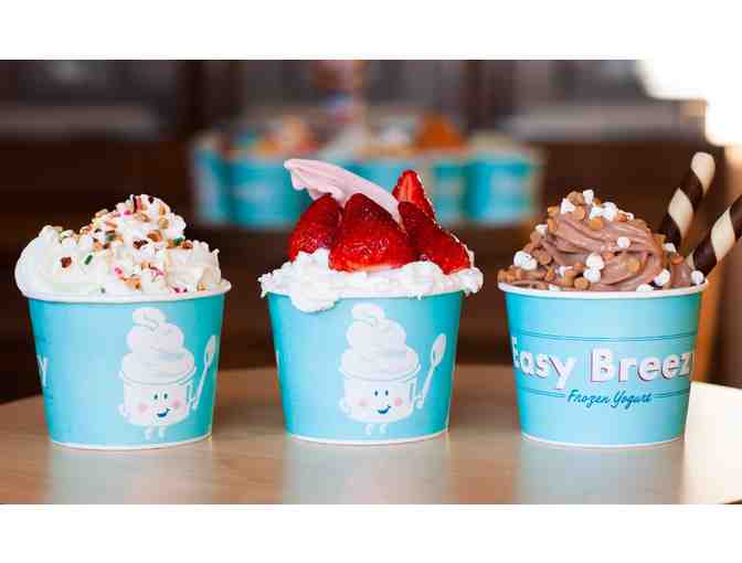 Easy Breezy Frozen Yogurt: $15 gift certificate